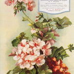 1910 – 1919