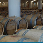 Malbec, una uva con el aval de la historia, por Fabricio Portelli
