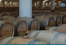 Malbec, una uva con el aval de la historia, por Fabricio Portelli