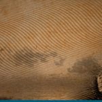 2 de septiembre – Día de la Industria