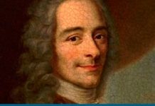 Voltaire el primer intelectual, por Tomás Alva Negri